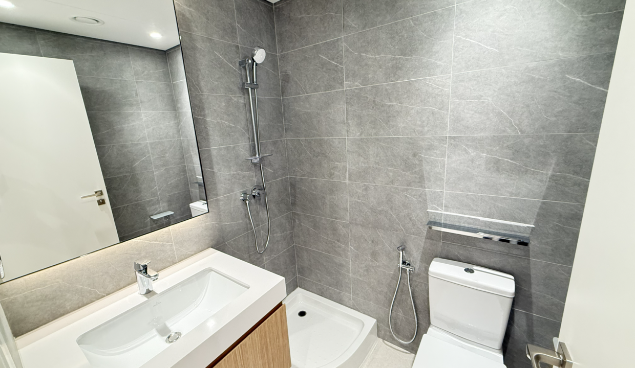 ellington-house-ii-modern-bathroom-shower